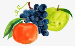 Facebook - Garden Journal: Growing Grapes Gardening Journal, Lined