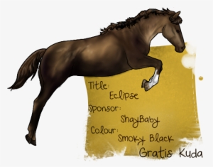 Eclipse - Stallion