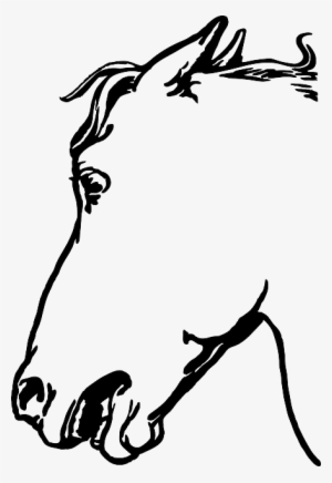 Mammal Animal, Head, Horse, Mammal - Gambar Sketsa Kepala Kuda