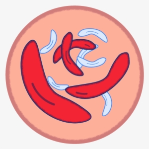 Sickle Cell Resources - Linterna Verde