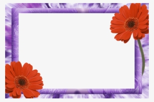 Molduras Png Dia Das Mães - Moldura De Dia Das Mulheres