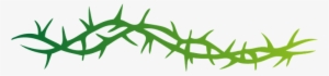 Thorns Pointed Spine Arbor Spike Prickle V - Rose Forever Thorned: From A Thorn Comes A Rose And