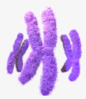 Problems With Viral Vectors- Toxicity, Immune And Inflammatory - Craft