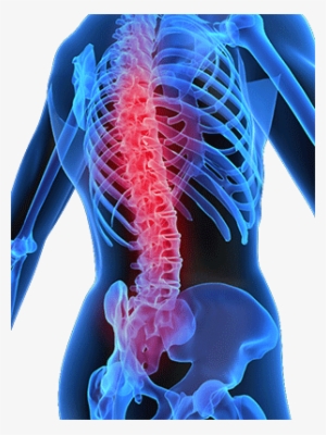 Spinal Injections Safety - Spinal Cord Movmebt