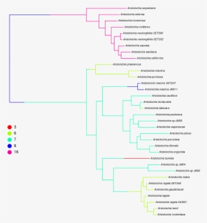 An Example Of Stochastic Character Mapping Applied - Diagram