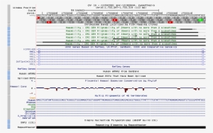 Hgt Genome 47a C9e3d0 - Genome