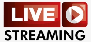 80s Songs - 80s Music - Plexus - Plexus Radio - Live - Live Webcams Florida