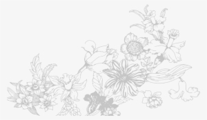 Flores Boda - Kreativitet Och Mindfulness - 100 Bilder På Blommor