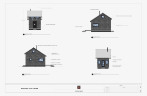 Sea Thistle - Drawing