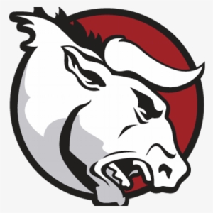 Florida Bulls - Bull Head Png