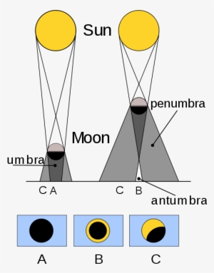 Contrasting A Total Solar Eclipse Annular Eclipse (b) - Darkest Part Of A Shadow