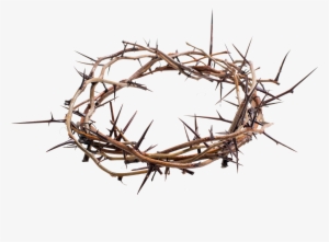 Assumption Bvm Province Franciscan - Crown Of Thorns Transparent