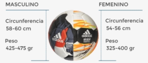 Balón De Balonmano - Balon De Futbol Y Sus Medidas