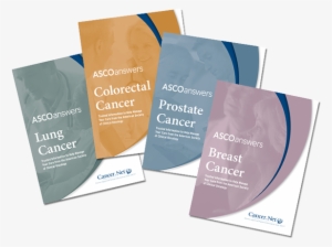 The Breast Cancer Guide Won A Merit Award In The 2014 - Paper Bag