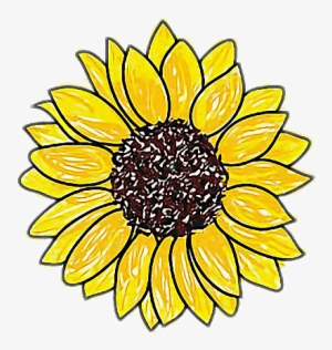 Easy Drawing Of A Sunflower