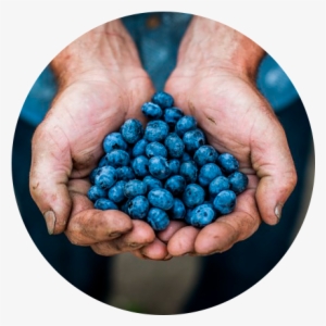 Events News Berryco Circle - News