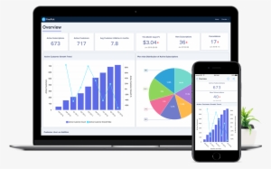 White Label Powerful Bi - Iphone