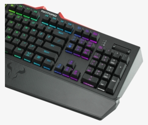 Benq Zowie Celeritas Ii