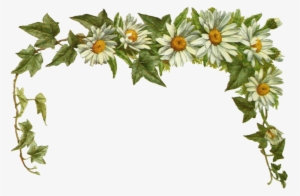 More Like Jinifur Vintage Parrots By Jinifur - Vintage Daisy Png