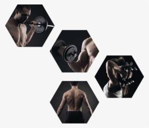 Gym Png Pic - Donor Advised Fund Flow Chart