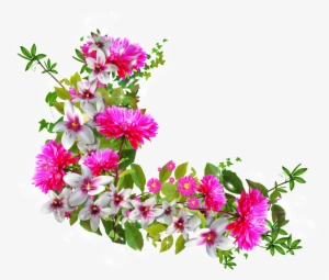 A Borda Da Flor De Alta Definição - Flower