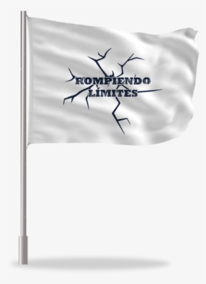 Venta De Banderas Y Banderines Prsonalizable - Flag