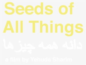 Play Trailer - - Dont Owe You Anything Memes