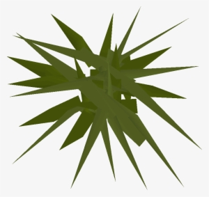 Weeds Detail - Illustration