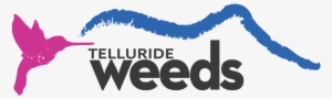 Boutique Landscapes In The Heart Of Telluride