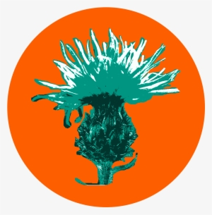 When Attempting To Eradicate Noxious Weeds, Best Efforts - New York City