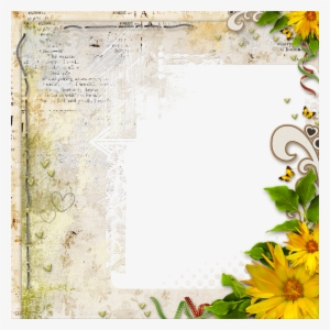 Pergamino Y Margaritas - Paper