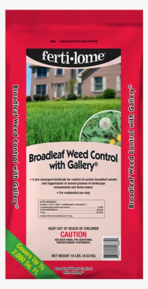 Start 'n Grow Premium Plant Food, 19-6-12, 4-lbs.