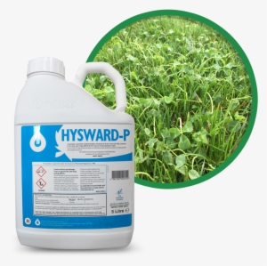 Professional Selective Weed Killers For Weeds In Turf - Gardening