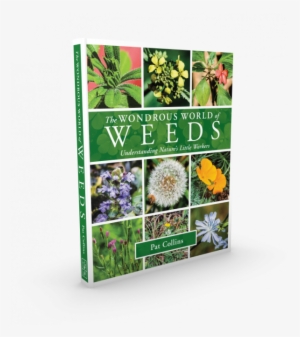 Visions Of Ichabod X - Wonderous World Of Weeds By Collins Pat