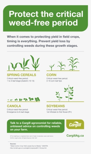 There's No Herbicide Available That Gives Him In-crop - Protection Sign