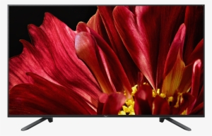 Master Series - Sony Master Series Z9f