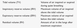 Static Lung Volumes - Http Www Dmvnow