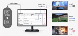 Entertainment And Information Options