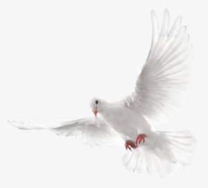 Eid Mubarak Cb Editing Background