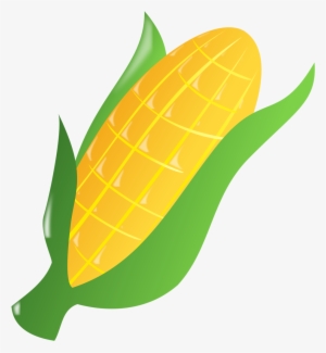 Image Stock Ear Of Drawing At Getdrawings Com Free - Ear Of Corn Clipart