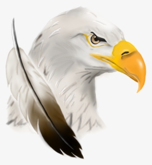 El Objetivo De La Infografía Es Dar A Conocer Un Animal