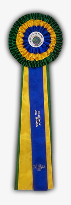 Curriculum Cinófilo - Lei