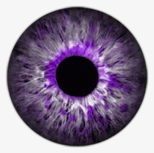 Lentes De Contato Em Png- Todas As Cores - Purple Eye Lens Png