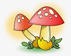 Mushrooms - Mushroom Clipart