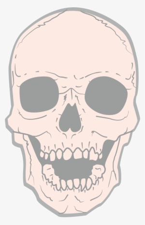 Illustrator