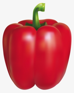 Bell Pepper