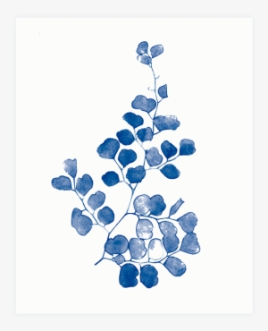 Maidenhair Fern Watercolor Print - Blueberry
