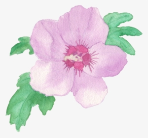 Watercolorros V2 - Rosa Canina