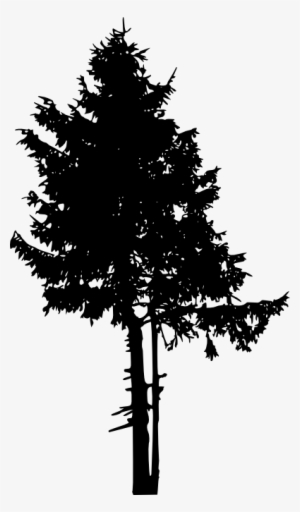 Free Download - Pine Trees Silhouette Png