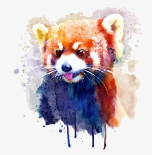 Bleed Area May Not Be Visible - Red Panda Watercolor Painting